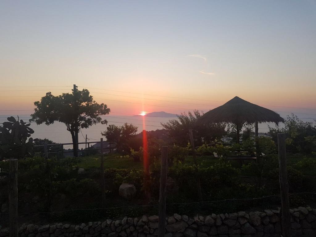 אנה קאפרי Agriturismo Del Sole מראה חיצוני תמונה