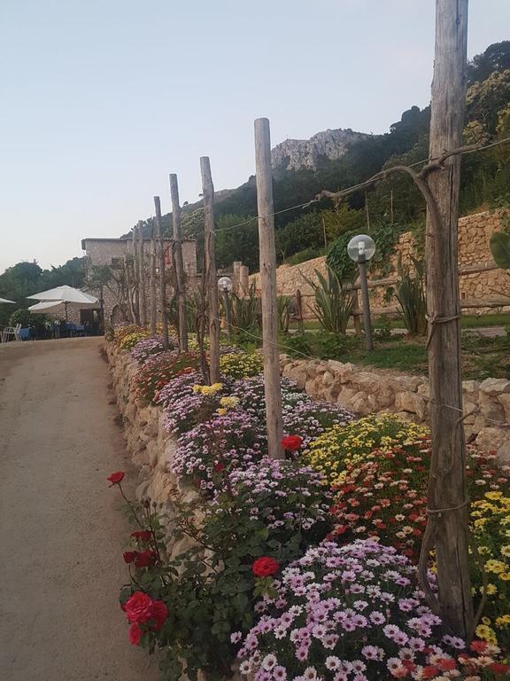 אנה קאפרי Agriturismo Del Sole מראה חיצוני תמונה