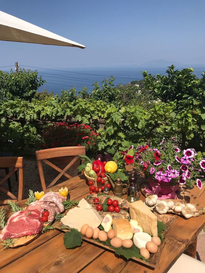 אנה קאפרי Agriturismo Del Sole מראה חיצוני תמונה