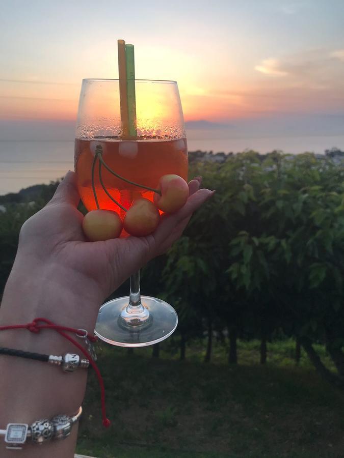 אנה קאפרי Agriturismo Del Sole מראה חיצוני תמונה