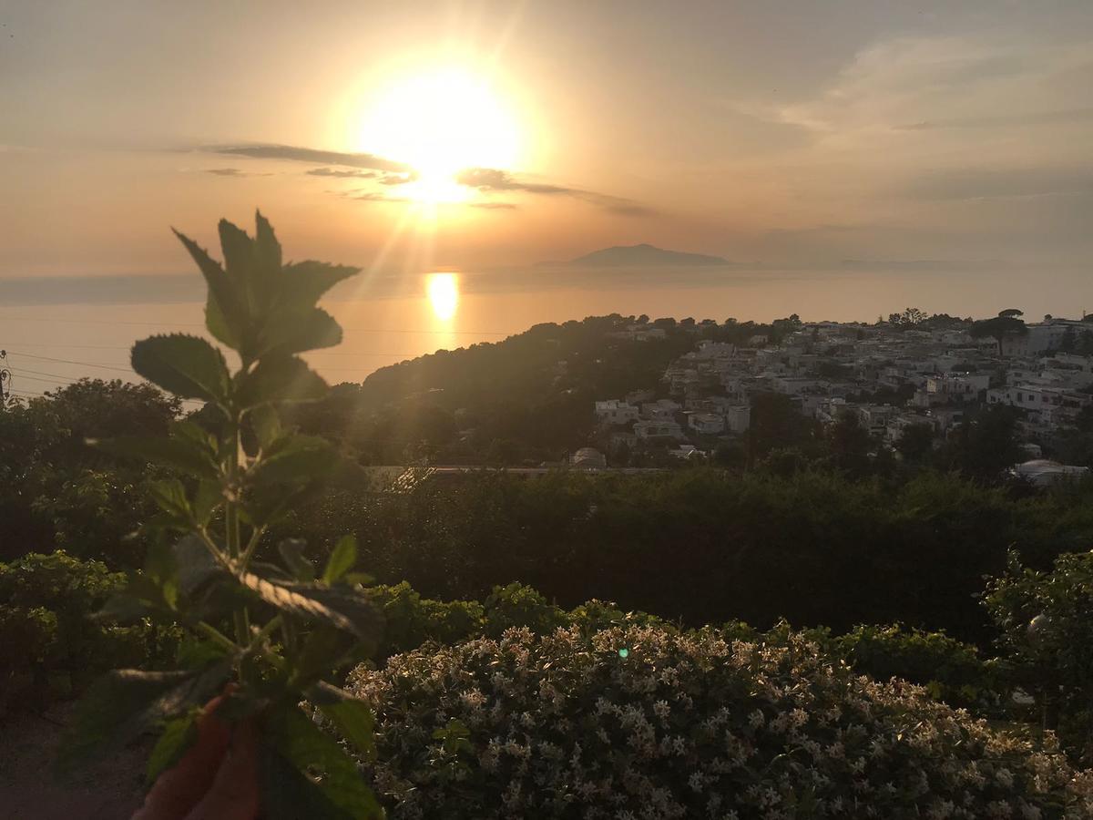 אנה קאפרי Agriturismo Del Sole מראה חיצוני תמונה